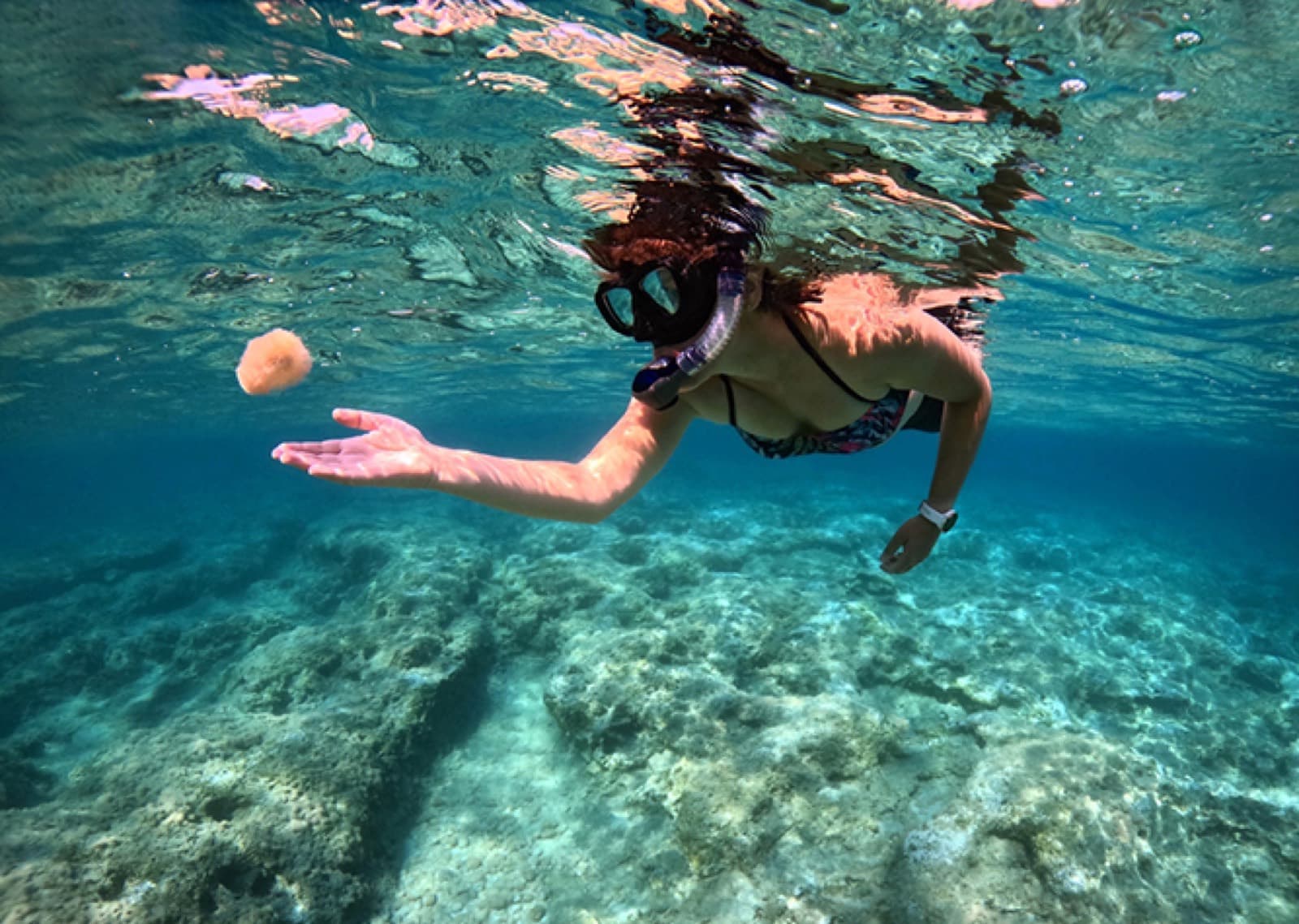 Snorkelling & Coastal Marine Exploration
