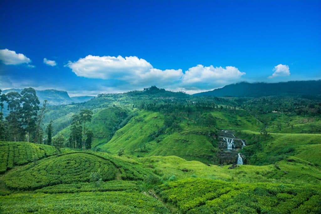 Highland Landscapes
