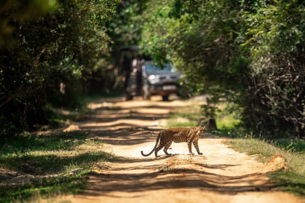 Wildlife Reserves