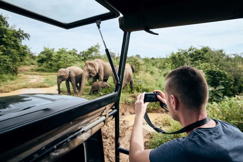 Wildlife Safaris in National Parks