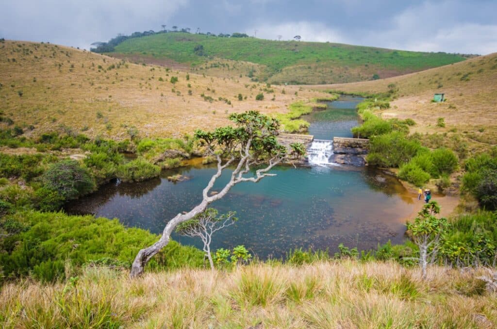 Horton Plains